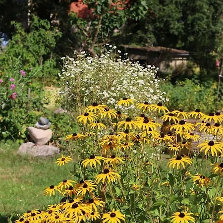 Feriehus Bullenberg *