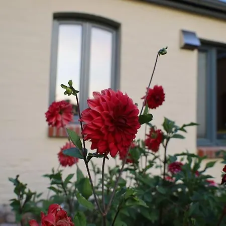 Bullenberg Ferienhaus Schwarz (Mecklenburgische Seenplatte)
