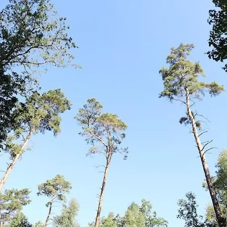 Bullenberg Schwarz (Mecklenburgische Seenplatte)