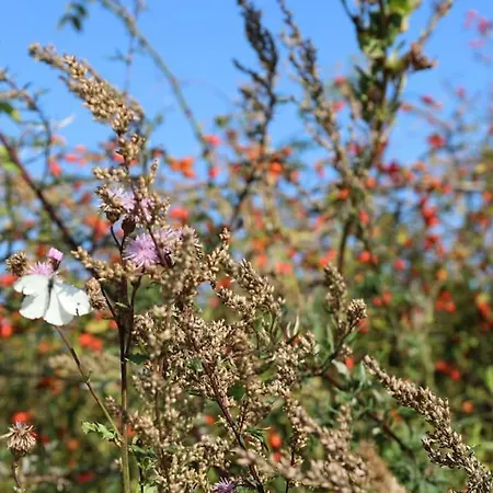 Bullenberg Ferienhaus